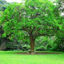 (주)큰나무 이미지