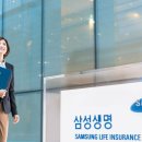 보람에프씨(FC) 이미지