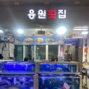 용원회센타 이미지