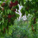 빗돌배기마을 이미지