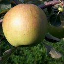 광용농장 이미지