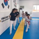 한국체대화랑태권도 이미지