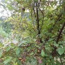 주천농장 이미지