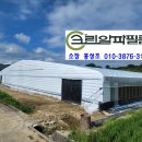 알파크린 이미지