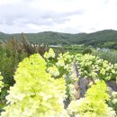 상옥농장2 이미지