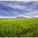 농업농촌테마마을 이미지