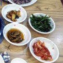 천년오리 이미지