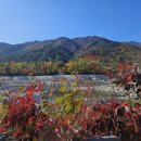 추양하우스 이미지