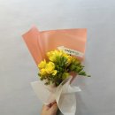 미미꽃방 이미지