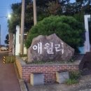오나횟집 | 애월횟집 야장에서 감성있게 먹는 애월어촌계회센터 고등어회 내돈내산 후기