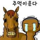 죽도야영장