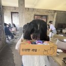 임씨네과일 이미지