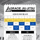 그레이시주짓수경주