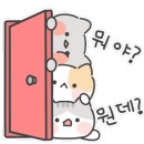 (주)세종전자담배 이미지