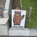 곰목장 | 홋카이도 여름 여행 노보리베츠 곰목장 쇼와신산 입장료 후기