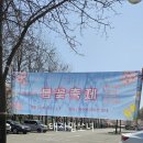 세종사료 | 당일치기 드라이브코스로 좋은 곳 "세종베어트리파크" 향기 가득한 '봄꽃축제'에 다녀온 후기