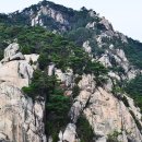 곡성-191 Daum카페