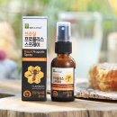 애플트리 이미지