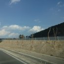 국도31호선(신) 이미지