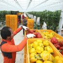 탐진축산 이미지