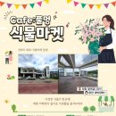 식물마켓