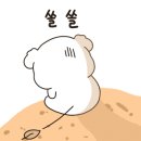 등대해물포차