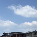 함안식당 | 함안 당일치기 자전거 여행 무진정, 진이식당, 함안박물관, 가야유물, 여행지추천, 공유자전거, 후기