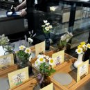 소올투베이커리 이미지