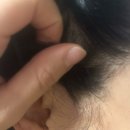 머릿결 손상 없는 에코헤나 천연헤나염색 브라운 후기