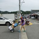 지도전통시장 이미지