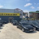 몬스터렌터카 이미지