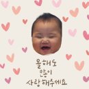 하빈쇼핑 이미지