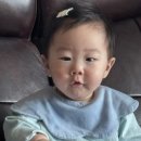 승현개발 | 2026년 1월 기록