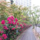 공인중개사사무소담장 이미지