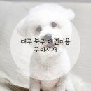 꾸미시개 이미지