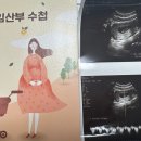 내포산부인과 이미지