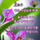 오늘은 이미지