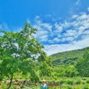 외양포공영주차장 이미지