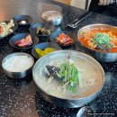 백도씨