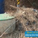 금대리828 이미지