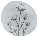 달빛수산 이미지