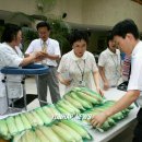 의료법인 강릉동인병원 이미지