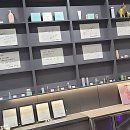 (킬링힐링)미묘한 견주생활 | 찌뿌둥한 내 몸, 림프 제대로 풀어줘야 몸이 산다는 사실 아셨나요?