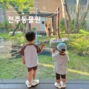 햇볕은쨍쨍어린이집 | 전주 아이와 가볼만한 곳, 전주동물원·드림랜드 방문 후기