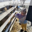 희야목장 이미지