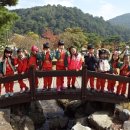 형남초등 병설 이미지