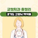 경기도 고양시 백석동 교정치과 총정리