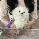 제이엠티(주) 지점 | 🌈[원주나들이]-2박3일의 여름나기:용수골계곡/용수골가든/오늘을그리다 등