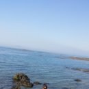 초록바다 이미지