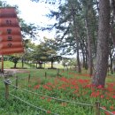 송림공원 내 이미지